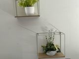 two shelves that have plants in them on them