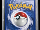 the card is in a clear plastic case with a pokemon poke poke poke poke poke poke poke poke poke poke poke poke poke poke poke poke poke poke poke poke poke