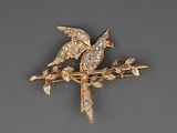 deux oiseaux assis sur une branche d'arbre