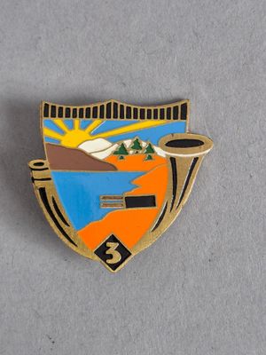 un gros plan d'un insigne posé sur une surface grise