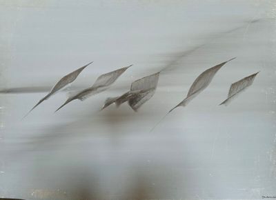 quatre oiseaux volant au-dessus d'un plan d'eau