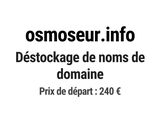 Photo 1/1 du lot