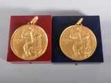 deux médailles d'or dans un coffret rouge et bleu