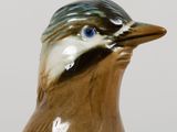 a bird that is sitting on top of a table