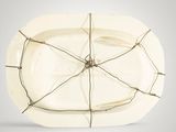 a white plate with a spider web on it