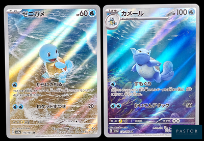 deux cartes Pokémon présentant des illustrations différentes