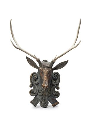 a close up of a deer head on a white background