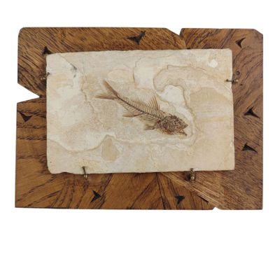 une image représentant un poisson fossile sur une planche de bois