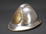 a silver helmet with a gold bug on it