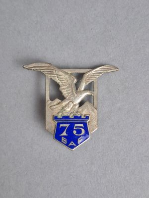 un gros plan d'un insigne orné d'un aigle