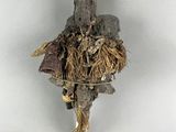 a bird that is sitting on top of a piece of wood