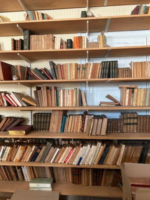 de nombreux livres qui se trouvent sur les étagères de la pièce