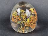 a glass ball with a picture of a tree inside of it