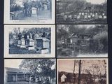 plusieurs vieilles photos en noir et blanc représentant des ruches devant une maison