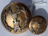 deux boutons posés sur une table