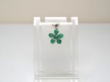 un gros plan sur une petite vitrine en verre dans laquelle se trouve une paire de boucles d'oreilles