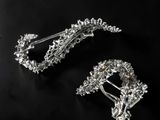 a close up of two silver hair clips on a black surface