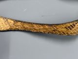 a close up of a snake skin bracelet on a table