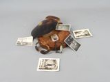 a bug that is sitting on top of some old photos
