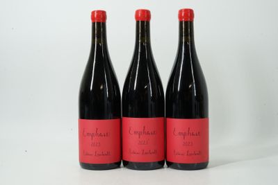 trois bouteilles de vin rouge posées côte à côte sur une table