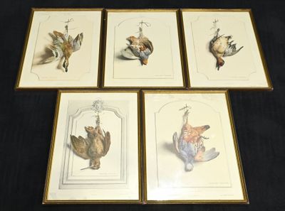 quatre photos d'oiseaux encadrées sur un fond noir
