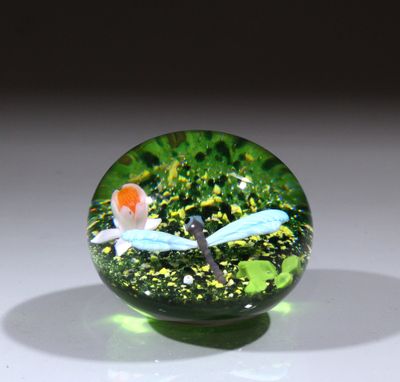 un presse-papier en verre dans lequel se trouvent une libellule et un poisson