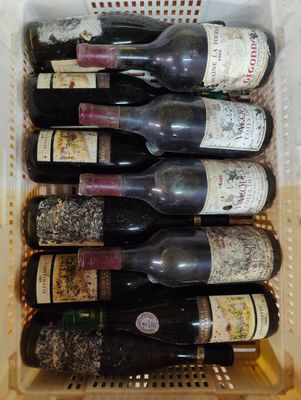 de nombreuses bouteilles de vin rangées dans un bac en plastique