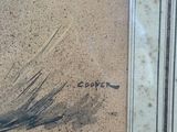 a picture of a picture of a bird in the sand