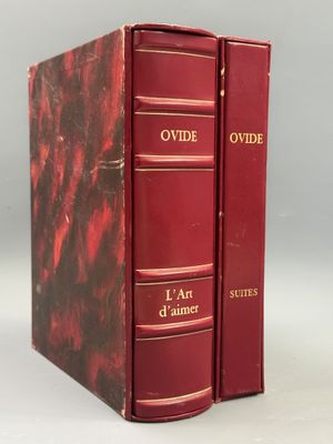 deux livres rouges posés l'un sur l'autre sur une surface blanche