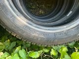 un pneu posé dans l'herbe