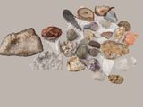 plusieurs types de roches et de pierres sur un fond gris