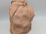 an image of a clay sculpture of a head on a white surface