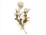 une broche en forme de fleur en argent ornée d'une perle rouge