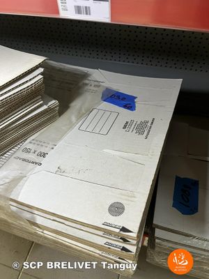 ENVIRON 60 CARTOBAC CARTONS POUR RAYONNAGE - Photo 1