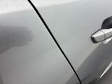a close up of a car door handle with a dog in the background