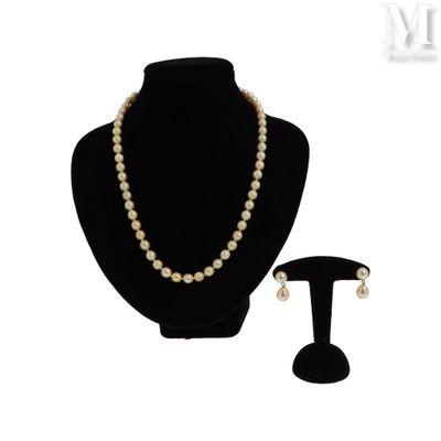 un gros plan d'un collier et d'une boucle d'oreille sur un mannequin