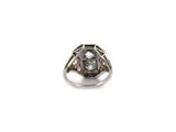 a close up of a diamond ring on a white background
