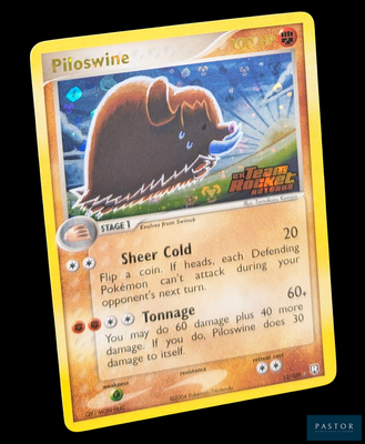 un gros plan d'une carte Pokémon sur laquelle figure l'image d'un ours
