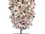 a close up of a piece of coral on a black stand