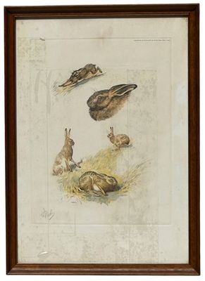 RIAB (1898-1975) Le lièvre Gravure . Signé en bas à gauche