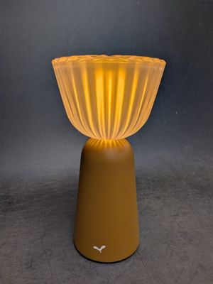 un gros plan d'une lampe posée sur une table