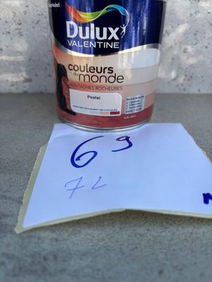 Ensemble de peinture Dulux Valentine Couleurs du Monde, tein…
