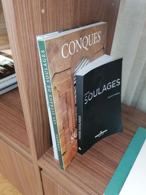 two books on a shelf next to a book case