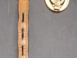 a watch and a lapel sitting on a table