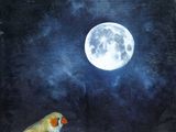 a painting of a bird sitting on a branch with a full moon in the background