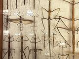 many different kinds of insects displayed in a glass case