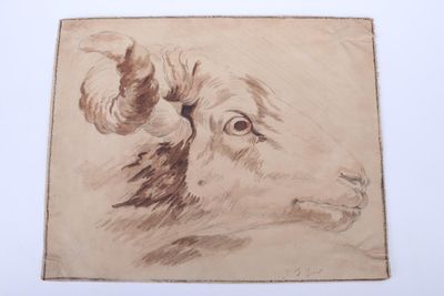 drawing of a goat ' s head on a piece of paper on a table
