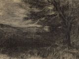 un dessin en noir et blanc représentant un arbre dans un champ