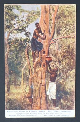 tableau représentant un homme grimpant à un arbre, avec un autre homme en arrière-plan