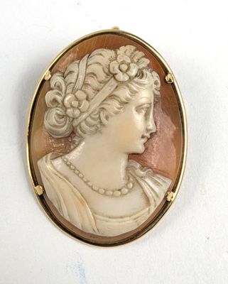 une image représentant le profil d'une femme sur une broche en camée